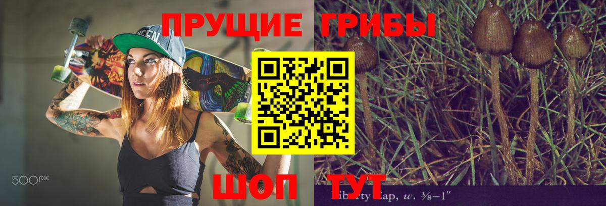 Троицк  Галлюциногенные грибы Psilocybine cubensis  Псилоцибиновые грибы GOLDEN TEACHER  Вход с VPN 
